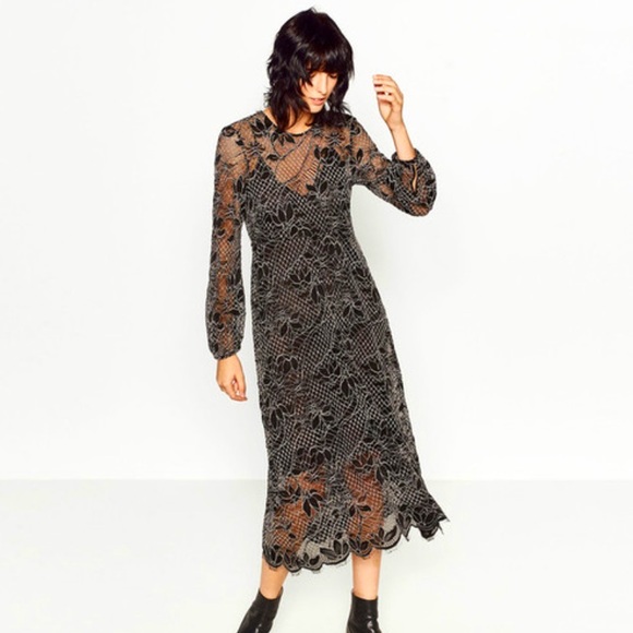 Zara Dresses & Skirts - NWT Zara lace dress - sold out!